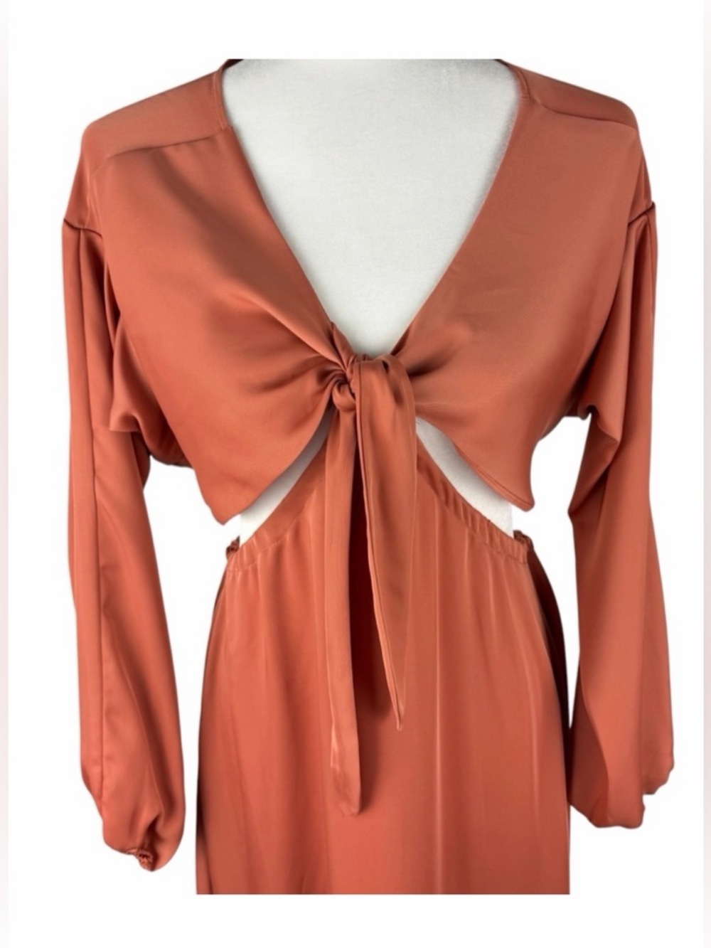 RESA Terracotta Side Cut Out Dress - Picture 2 of 4